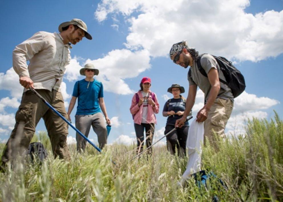 Two men (one wearing a tan shirt, brown pants, and a hat and the other wearing sunglasses, a bandana, a packpack, a gray shirt, and light brown pants) are teaching the summer herpetology course to three people in a field