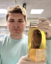 Profile picture of KU EEB graduate student, Alex Maile, in lab