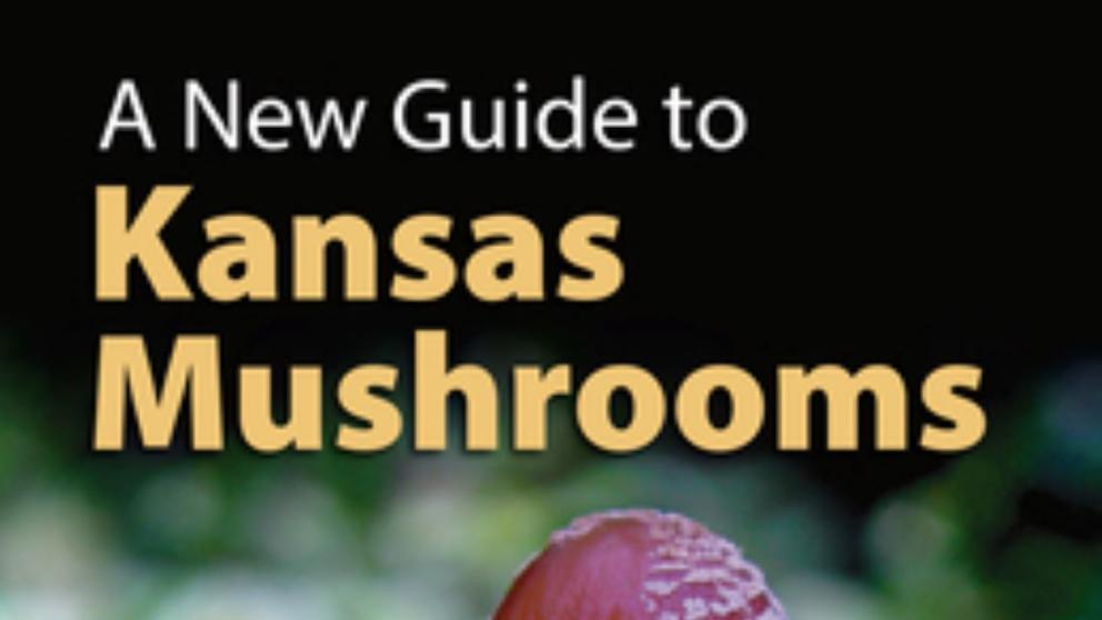 A New Guide to Kansas Mushrooms book cover