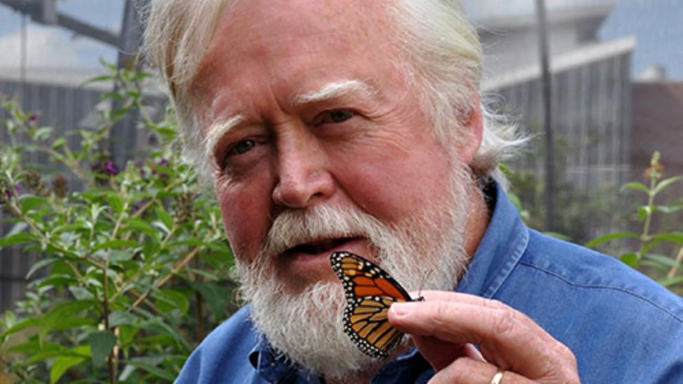 Chip Taylor